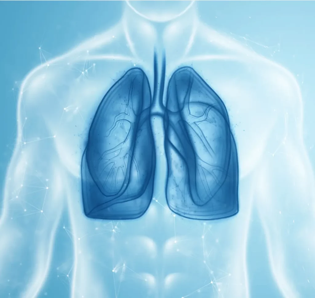 placeholder-image Image