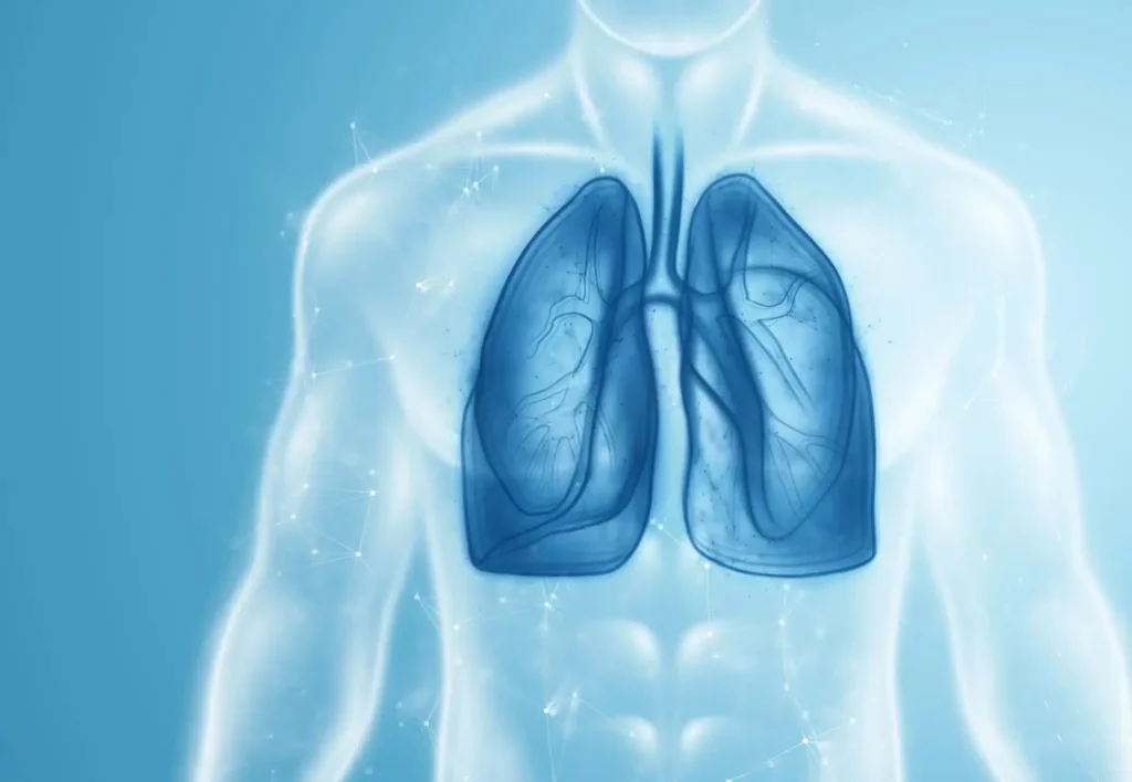 placeholder-image Image